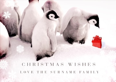 Penguin Christmas Wishes Personalised Postcard