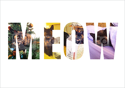 Cat Photo Upload Poster