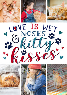 Kitty Kisses Multi Photo Small Poster