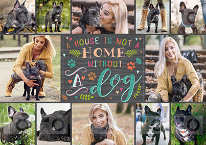 Not A Home Without A Dog Photo Poster