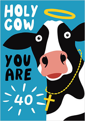 Holy Cow You are 40 Birthday Card