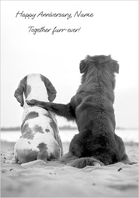 Black And White Together Furever Anniversary Card