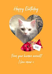 Tap to view Cat Photo Happy Birthday Card