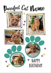 Purrfect 5 Photo Cat Birthday Card