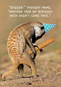 Tap to view Birthday Wish Didn't Come True Card