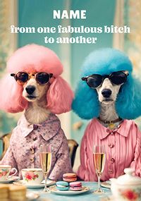 Tap to view From One Fabulous Bitch To Another Birthday Card