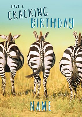 Photo of Photographic Zebras Cracking Birthday Card