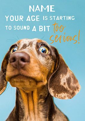 Photo of Serious Ageing Photographic Dog Personalised Birthday Card
