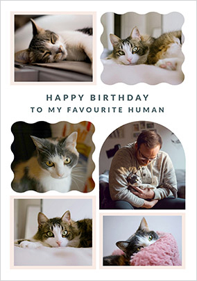 card image