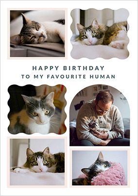 Photo of From The Cat 6 Photo Upload Birthday Card