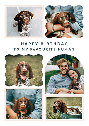 card image