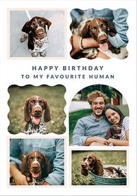 Tap to view From The Dog 6 Photo Upload Birthday Card