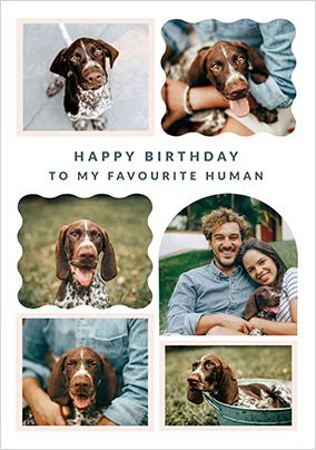 Photo of From The Dog 6 Photo Upload Birthday Card