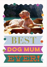Tap to view Best Dog Mum Ever Birthday Card