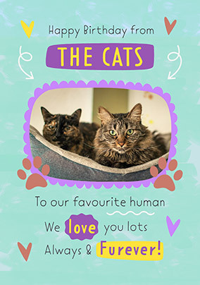 card image