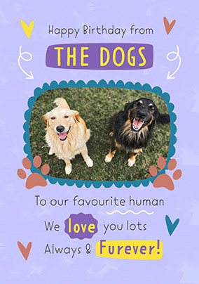 card image