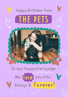 card image