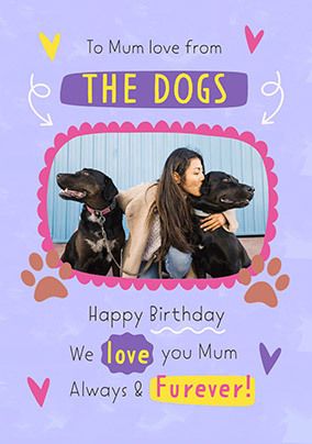 Photo of To Mum From The Dogs Birthday Photo Card