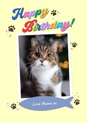 Photo of Cat Polaroid Birthday Card
