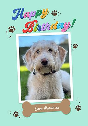 Photo of Mint From The Dog Photo Upload Birthday Card