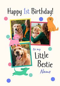 Tap to view Dog's First Birthday Card