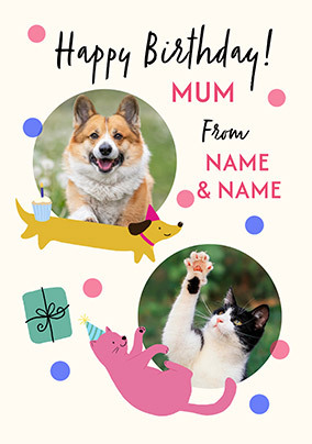 card image