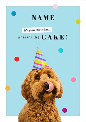 Photo of Where’s The Cake Cockapoo Birthday Card