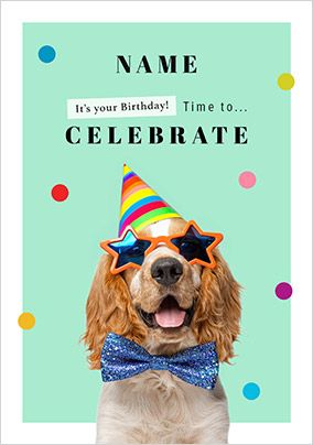 Photo of Celebrate Spaniel Birthday Card