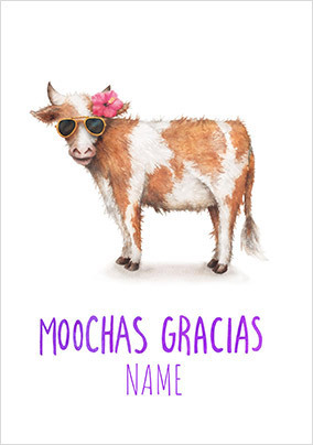 Moochas Gracias Thank You Card