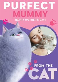 Tap to view Secret Life - Mummy from the Cat Photo Mother's Day Card