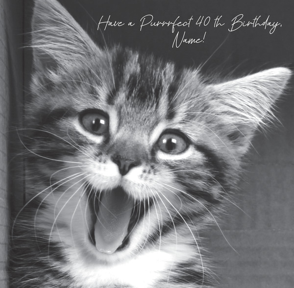 Purrfect 40th Birthday Card