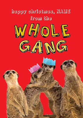 Whole Gang Meerkats Personalised Christmas Card