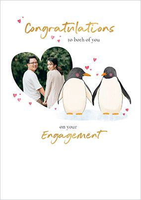 Photo of Penguin Couple Engagement Photo Card