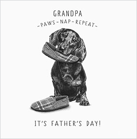 Paws Nap Repeat Grandpa Square Father's Day Card