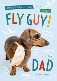 Tap to view Rachael Hale Fly Guy Father's Day Card