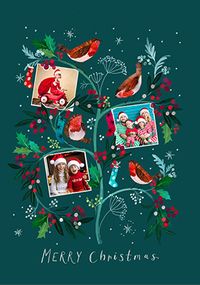 Tap to view Robins on a Tree 3 Photo Christmas Card