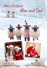 Mum and Dad Sheep Photo Christmas Card