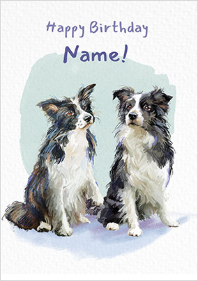 Border Collies Personalised Birthday Card