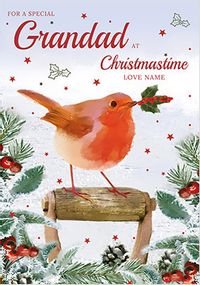 Tap to view Grandad Robin Personalised Christmas Card