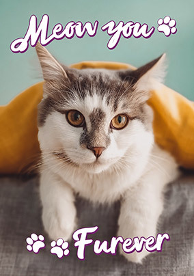 Meow you Furever photo Mother's Day Card