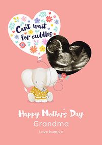 Cuddles for Grandma Mothers Day Card