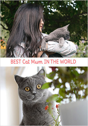 Best Cat Mum Photo Upload Card