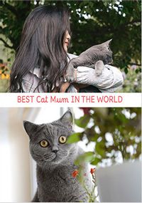 Tap to view Best Cat Mum Photo Upload Card