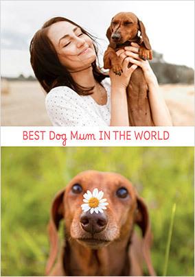 Best Dog Mum Photo Upload Card