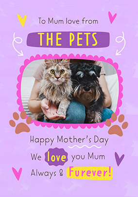 Happy Mother's Day From The Pets Photo Card
