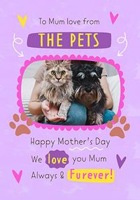 Tap to view Happy Mother's Day From The Pets Photo Card