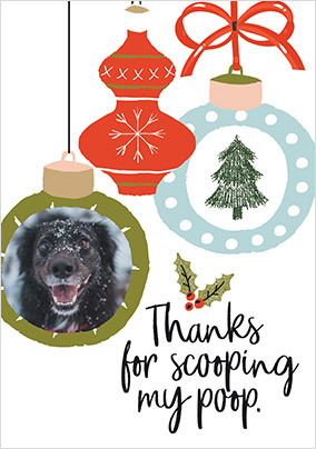 Scooping my Poop Christmas Baubles Photo Card