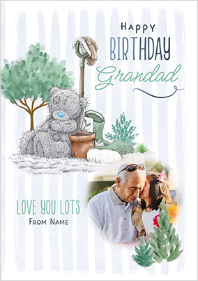 Me To You Love You Lots Grandad Birthday Photo Card