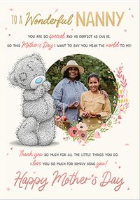 Tap to view Me To You Wonderful Nanny Verse Mother's Day Photo Card