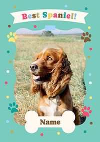 Tap to view Best Spaniel Birthday Card